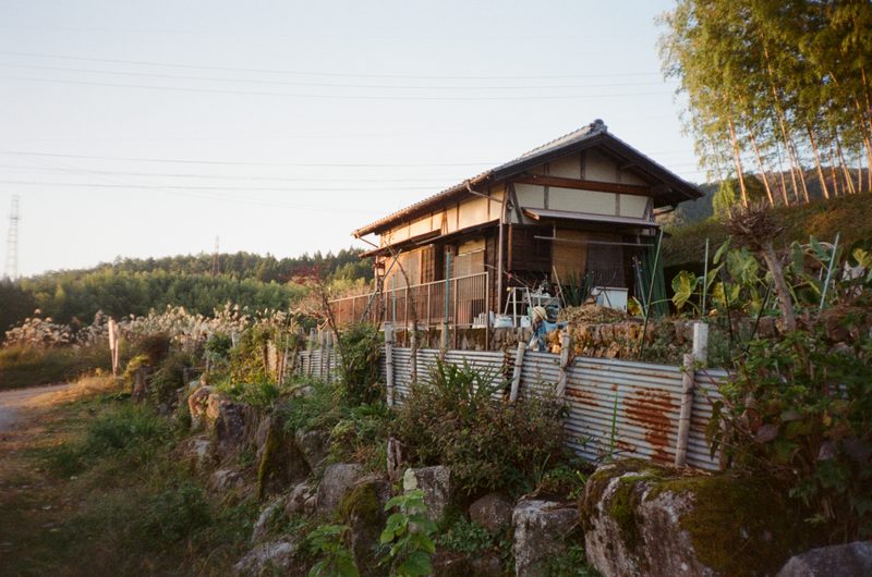 A photo of a small house surrounded by crops
