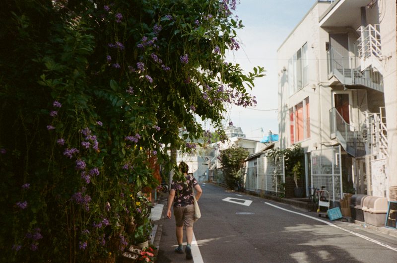 A photo of a man walking down a street, shrouded by a bush of purple flowers. To the right is a three story white house.